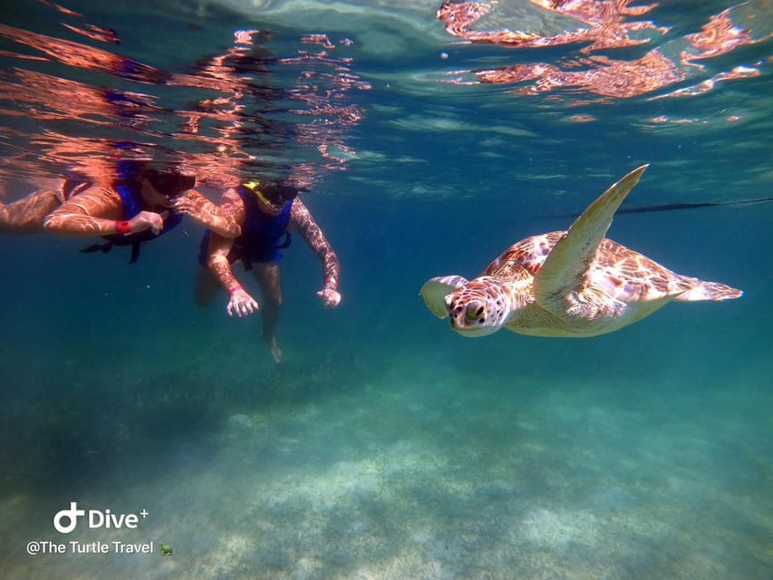 2 Best Guided Tours In Akumal