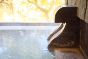Centurion Hakone Bettei - Accommodations and Amenities