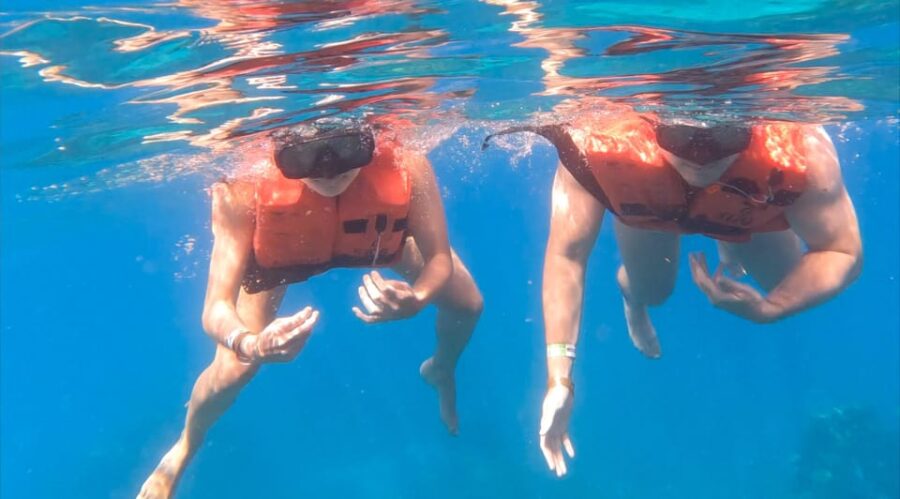 Diving Catalina Island From Punta Cana