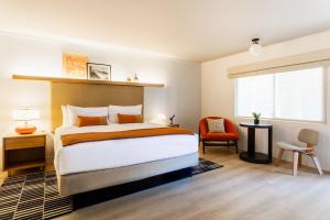 Dr Wilkinsons Backyard Resort and Mineral Springs a Member of Design Hotels - Accommodation Options