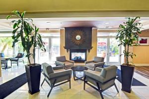 Embassy Suites Valencia - Amenities and Facilities