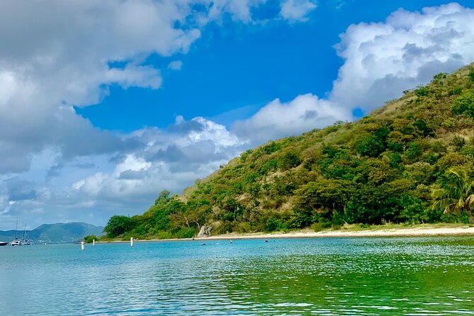 Family Snorkel Safari. ️Private Boat! - Inclusions