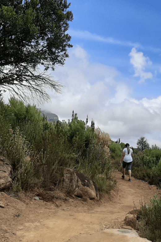 Franschhoek: Half Day Guided Nature Hike and Wine Tasting
