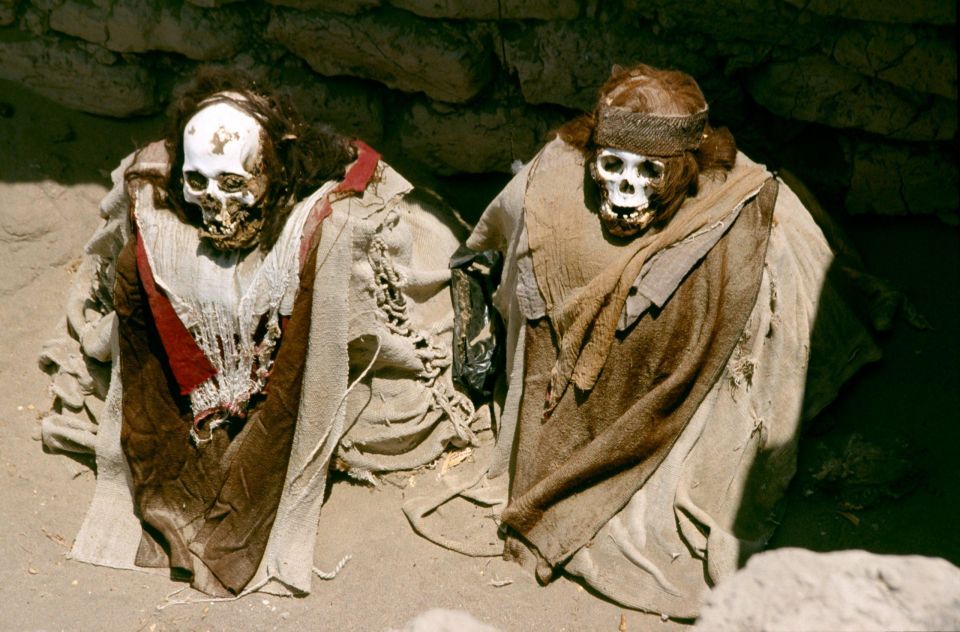 From Nazca || Excursion to the Chauchilla Cemetery || - Experience Highlights