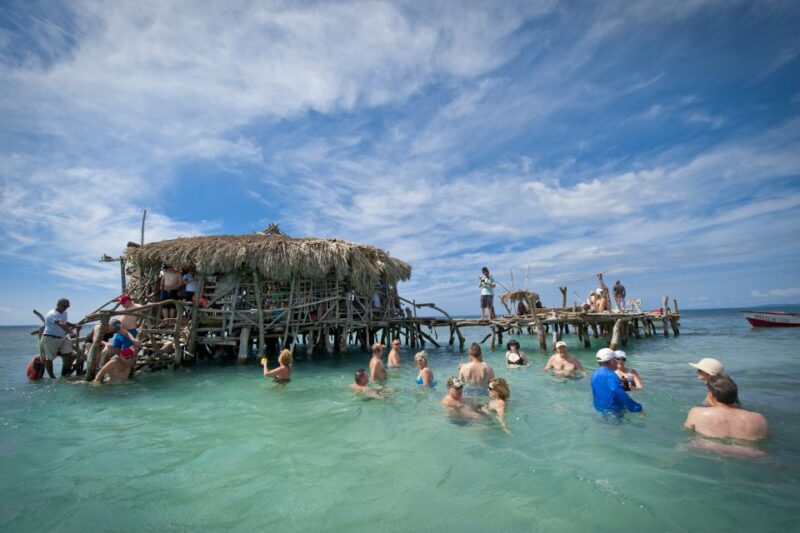 From Negril: Pelican Bar Catamaran Cruise - Activities and Highlights