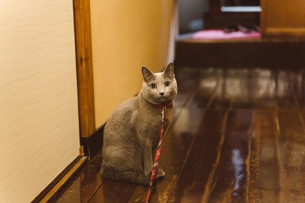 Fujiya Ryokan Review