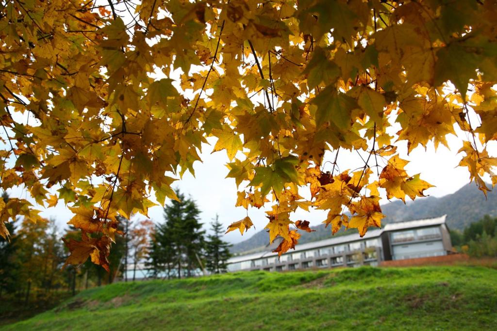 Furano Hotel Review