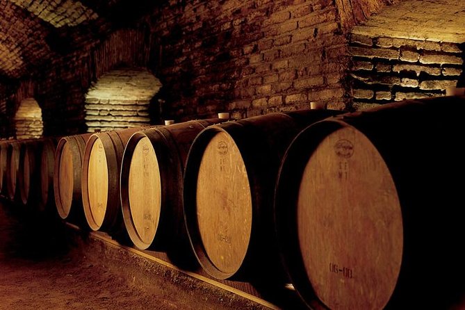 Santiago: Half Day Visit to Concha Y Toro Vineyard, Include Entrace & Transport - Tour Highlights
