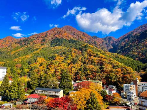 Shiobara Onsen Yashio Lodge - Accommodation Options and Amenities