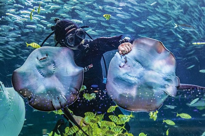 Skip the Line: The Greatest Urban Aquarium COEX Ticket(내국인불가) - Accessibility and Facilities Overview