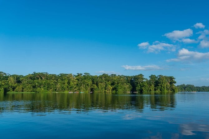 Tortuguero: Canoe Tour + Night Jungle or Spawn Turtle