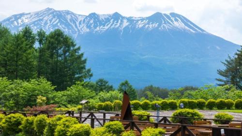 Tsutaya Tokinoyado Kazari - Accommodation Options