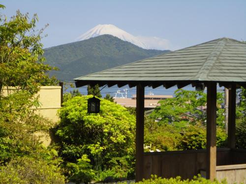 Yoshimatsu - Room Types and Amenities