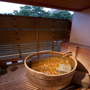 Zazan Minakami - Accommodation Details