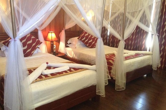 3-Day Maasai Mara Private Safari at AA Lodge From Nairobi