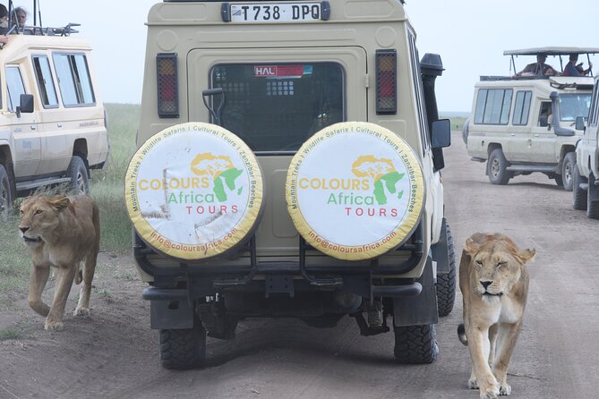 3 Days Only in Serengeti National Park