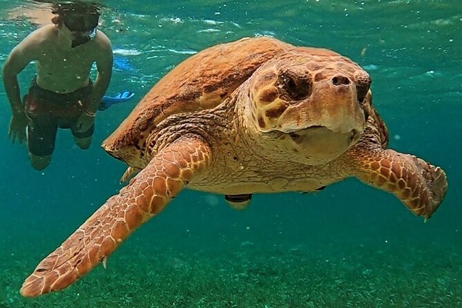 Best 3 Hour Tours and Experiences in Ambergris Caye