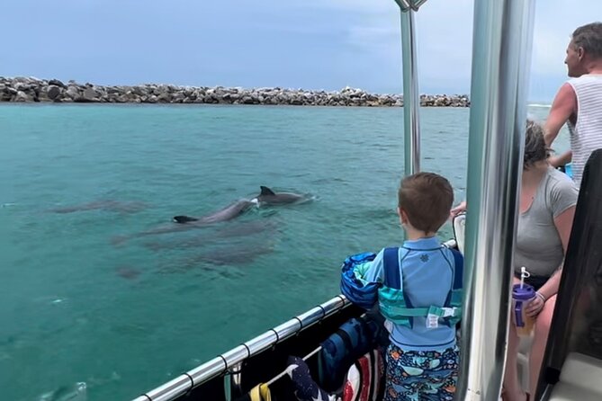 3 Hour Private Dolphin Swim Snorkel and Shell Island Excursion - Key Points