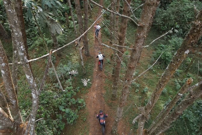8-Days Private Enduro Mountain Bike Tour in Colombia