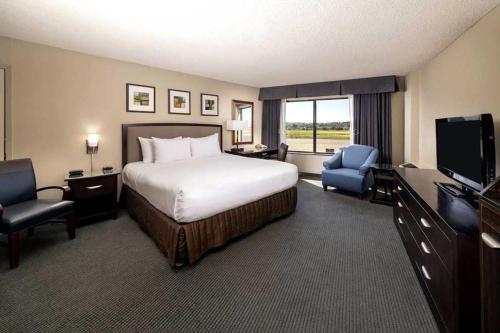 Concord Plaza Hotel - Guest Room Options
