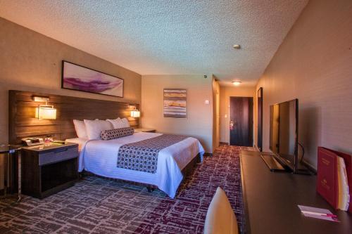 Crowne Plaza Silicon Valley North - Union City, an IHG Hotel - Room Types and Features