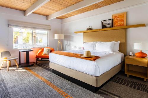 Dr Wilkinsons Backyard Resort and Mineral Springs a Member of Design Hotels - Amenities and Facilities