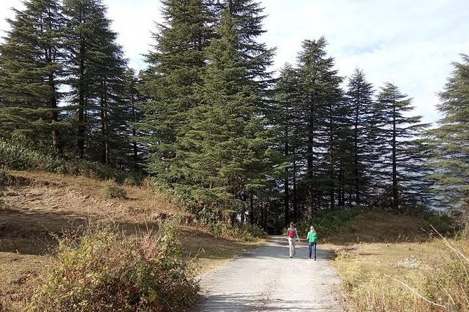 George Everest Nature Walk | Mussoorie - Location and Duration