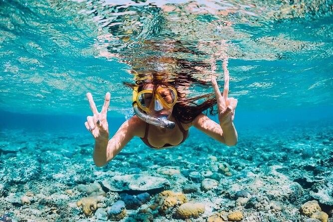 Private Half-Day Speed Boat and Snorkeling Tour in Punta Cana