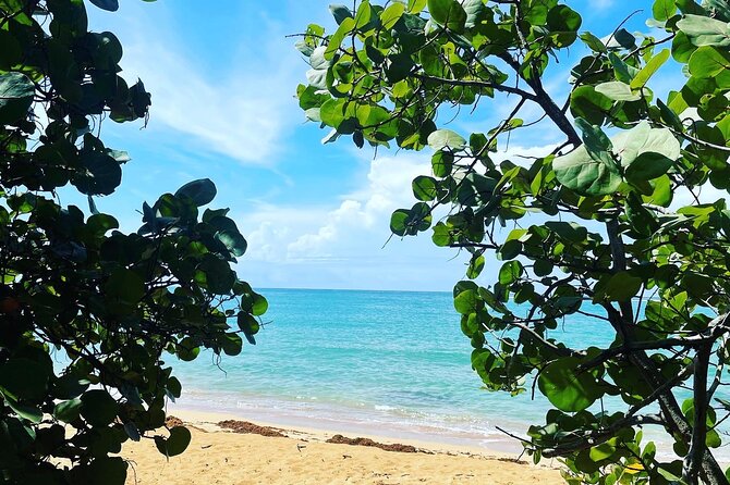 Puerto Rico Hidden Spring Swim and Beach Snorkeling Tour - Included Amenities