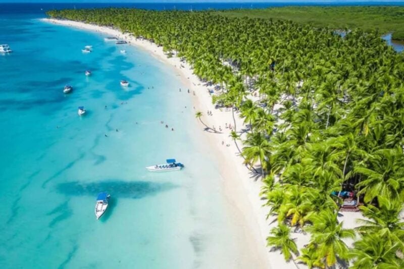 Saona Island - Full Day Open Bar, Lunch and Round Trip! - Highlights and Activities