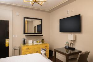 Staypineapple, An Elegant Hotel, Union Square - Cancellation and Policies