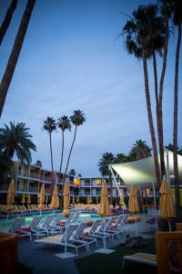 The Saguaro Palm Springs - Policies and Restrictions