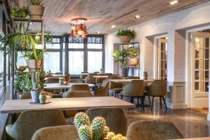 Wolfsberg Hotel Restaurant - Amenities and Facilities