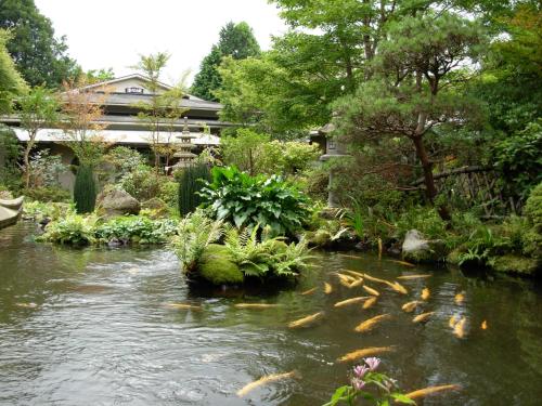 Yoshimatsu - Dining and Cuisine