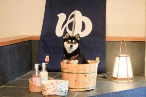 Yururi Nishiizu - Amenities and Facilities