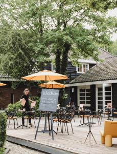 Zoomers in the Forest - Dining Options