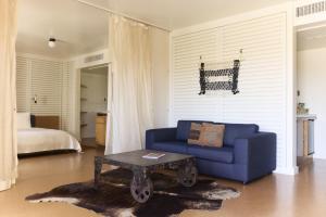 Ace Hotel and Swim Club Palm Springs - Accessibility and Amenities