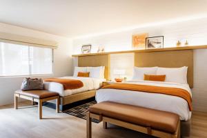 Dr Wilkinsons Backyard Resort and Mineral Springs a Member of Design Hotels - Additional Highlights and Information