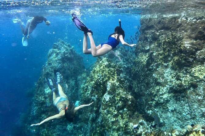Family Snorkel Safari. ️Private Boat! - Pricing and Cancellation