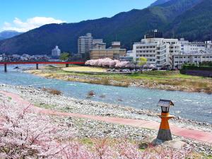 Gero Onsen Yukyunohana - Dining Experience
