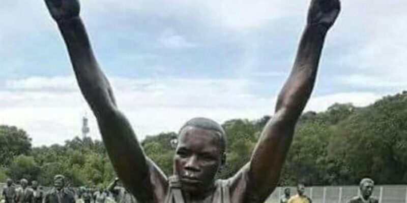 Historical Long Walk to Freedom Tour With Tickets& Transfer - Inclusions