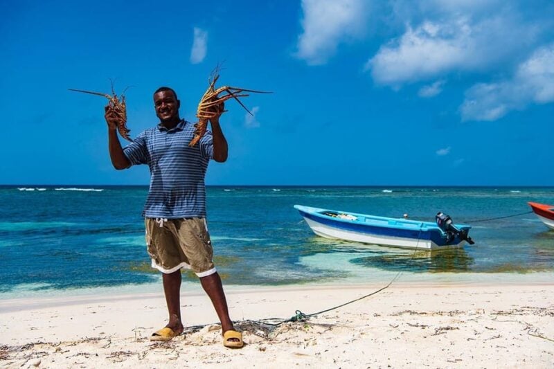 Saona Island - Full Day Open Bar, Lunch and Round Trip! - Saona Island Exploration
