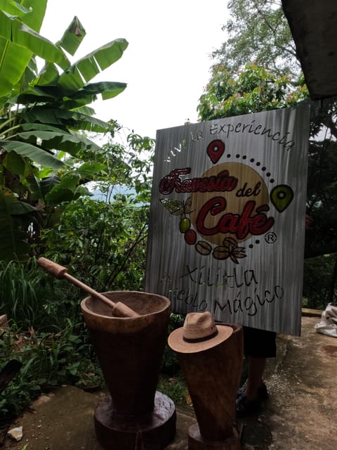 Xilitla : Coffee Journey Tour (Includes Tasting)