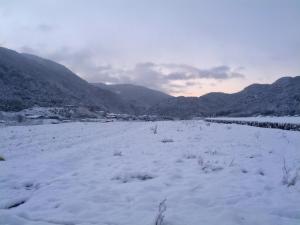Yumoto Onsen OharaSansou - Dining and Cuisine