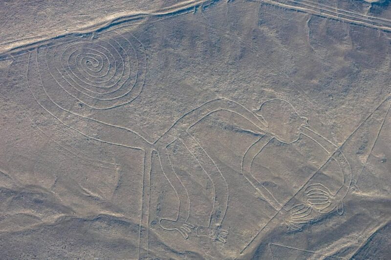11D + Hotel 4☆: Explore Ica-Nazca-Cusco-Sacred Valley-Puno - Languages and Guides