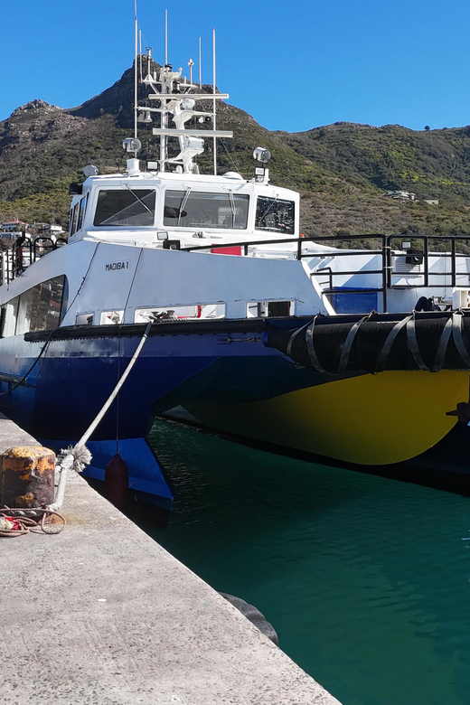 1½ Hour Sunset Boat Cruise V&A Waterfront Cape Town - Ideal for Unwinding