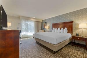 Best Western Plus Carriage Inn - Sustainability Certification