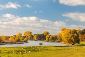 Fletcher Resort-Hotel Zutphen - Guest Reviews and Ratings