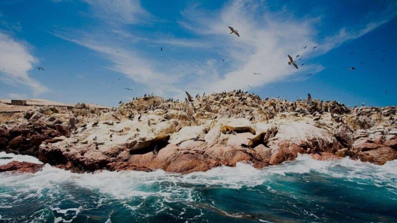 From Lima: Amazing Cusco - Puno 7D/6N Private | Luxury ☆☆☆☆ - Important Information and Restrictions
