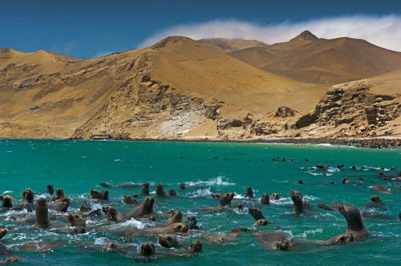From Lima: Tour With Cusco-Puno-Arequipa 14d/13n + Hotel ★★ - Arrival and Transfers